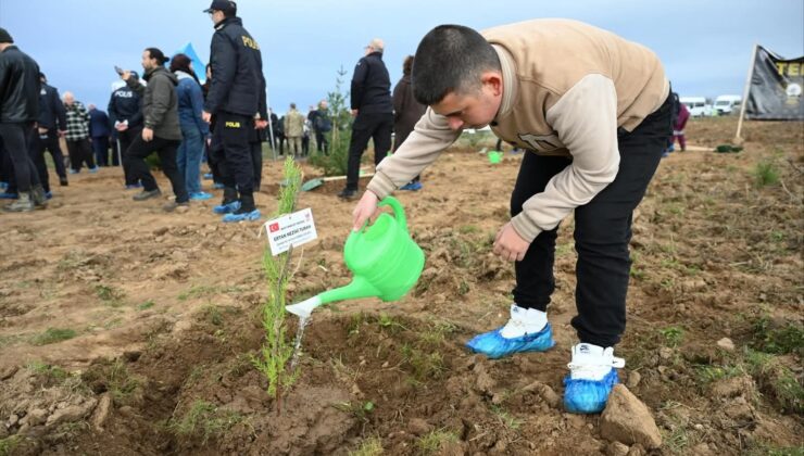 Edirne’de şehitler anısına 500 fidan toprakla buluştu
