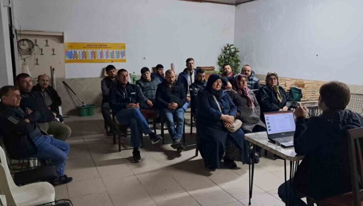 Edremit de Bal Ormanı arıcılığa destek olacak