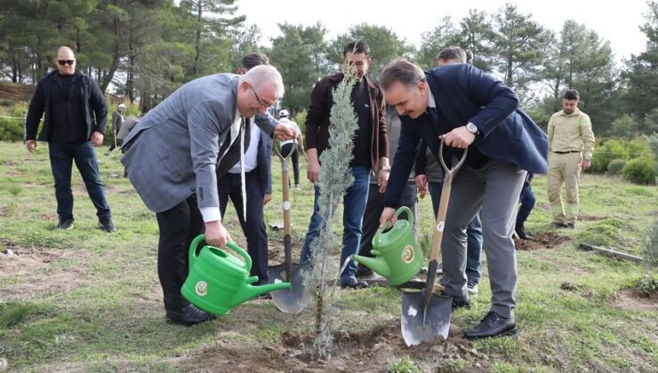 Edremit’te fidanlar toprakla buluştu