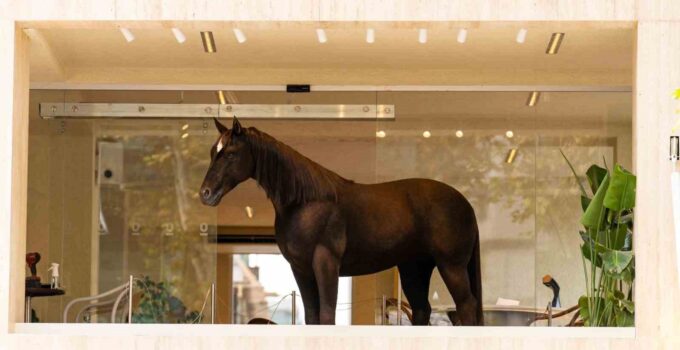 Espressolab, Jurassic Park teknolojisini şehirle buluşturdu