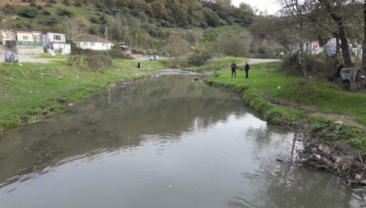 Eyüpsultan’daki gölde balık ölümleri yaşandı