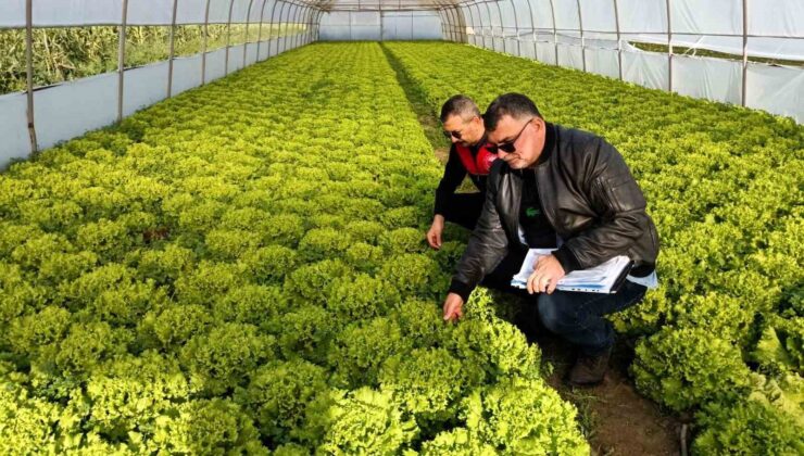 Kırklareli’nde sera denetimleri