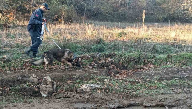 Mantar toplamak için gittiği ormanlık alanda kaybolan adamı 96 kişilik ekip arıyor