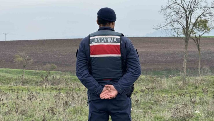 Mantar toplarken top mermisi buldular