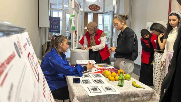 Obeziteye karşı uygulamalı Beden Haritası etkinliği