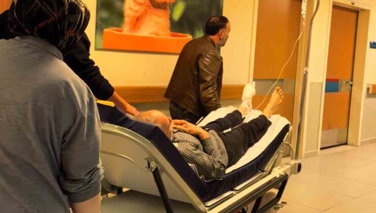 Odun kesmek isterken, ayağını kesti