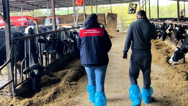 Pınarhisar’da ari hayvan işletmelerindeki çalışmalar incelendi