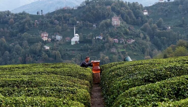 Rize’de dev çay bardağıyla yapılan çekim olay oldu: İzleyenler yapay zeka sandı