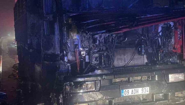 Seyir halinde bir anda alev alan tır kül oldu
