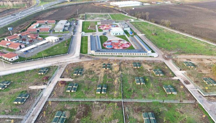 Avrupa standartlarında tesis: Sakarya Büyükşehir, sokak hayvanları için yeni bir dünya kurdu
