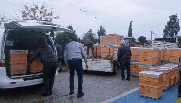 Babaeski’de üreticilere arı kovanı dağıtıldı