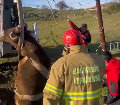 Balıkesir’de kuyuya düşen inek kurtarıldı