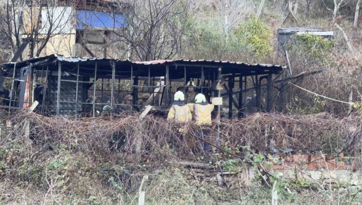 Barakadaki sobayı tutuşturmaya çalışırken yangın çıktı: Yaşlı adam hayatını kaybetti