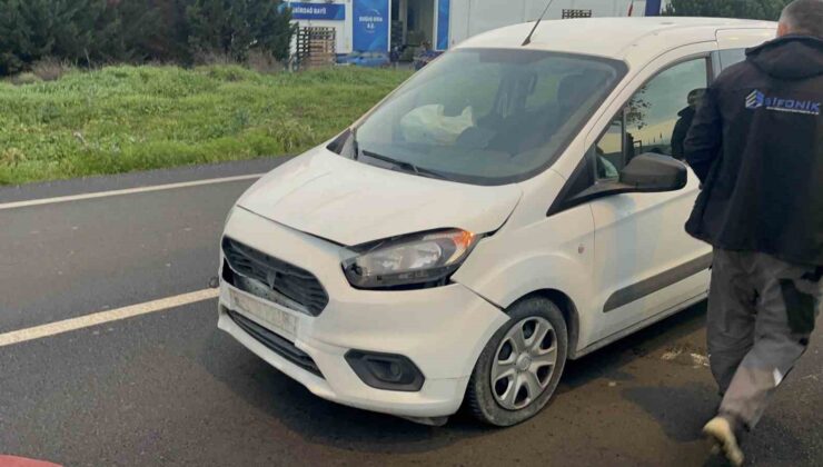 Başıboş köpeğe çarpan aracın sürücüsü yaraladı