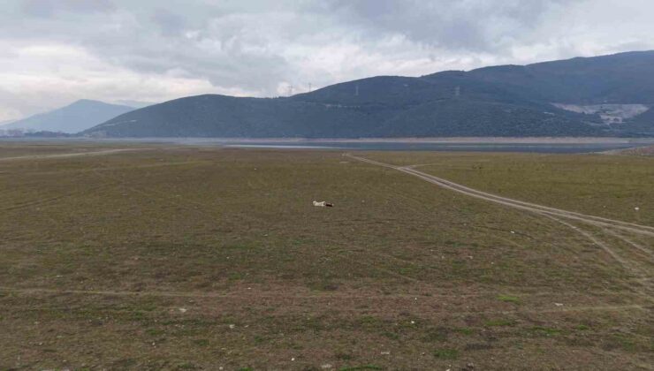Bursa’da bir göl daha yok oluyor…