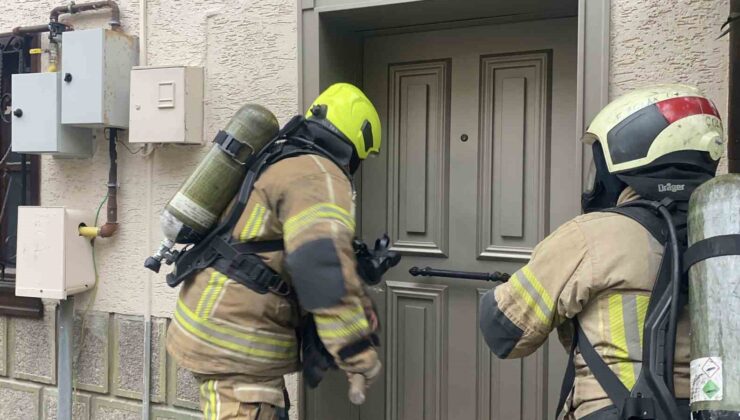 Bursa’da ev yangını: İtfaiyenin hızlı müdahalesiyle akvaryumdaki balıklar kurtarıldı