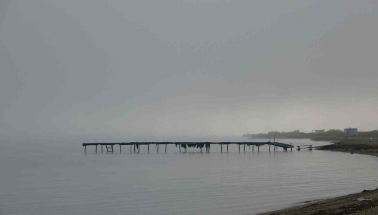 Çanakkale Boğazı sis nedeniyle transit gemi geçişlerine kapatıldı