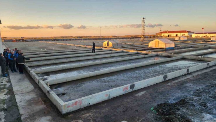 Çanakkale’deki deniz solucanları yetiştiriciliği tesisi sektörde tek