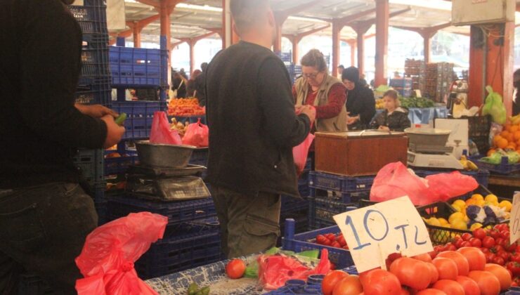 Çanakkale’nin meşhur domatesi tezgahlarda 40 liradan 10 liraya kadar düştü