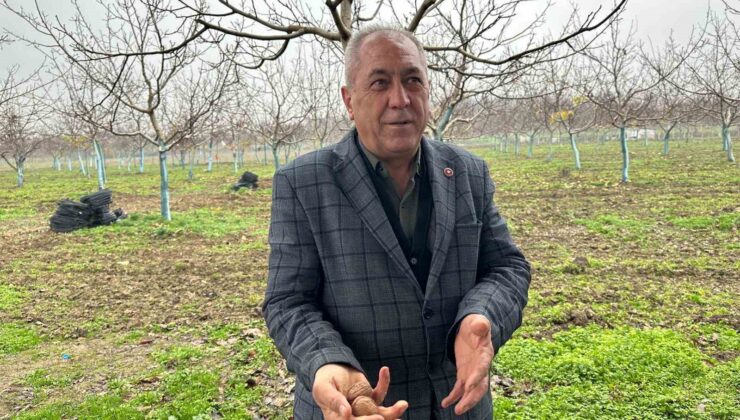 Cevizle yaşam şartları değişen köyde İstanbullular da bahçe kuruyor