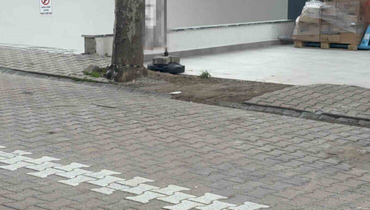 Çöpe atmak için yerden aldığı kargo poşetinin içinden 60 bin dolar çıktı