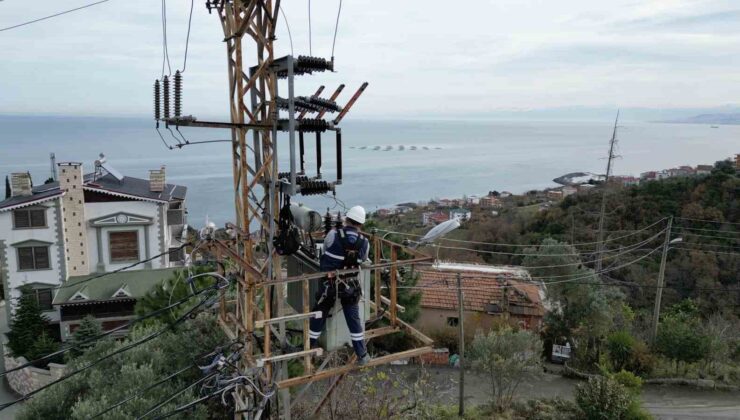 Çoruh EDAŞ, yetkisiz müdahaleler nedeniyle 10 ayda bin 469 kesinti yaşandığını açıkladı