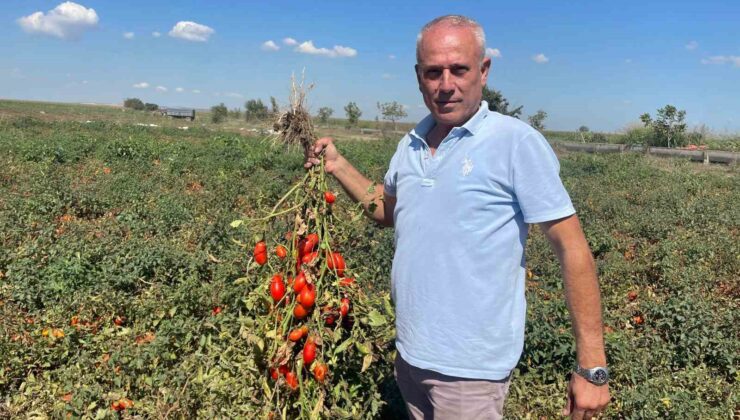 Dedesi seçimde muhtar oldu adına “Seçim” konuldu