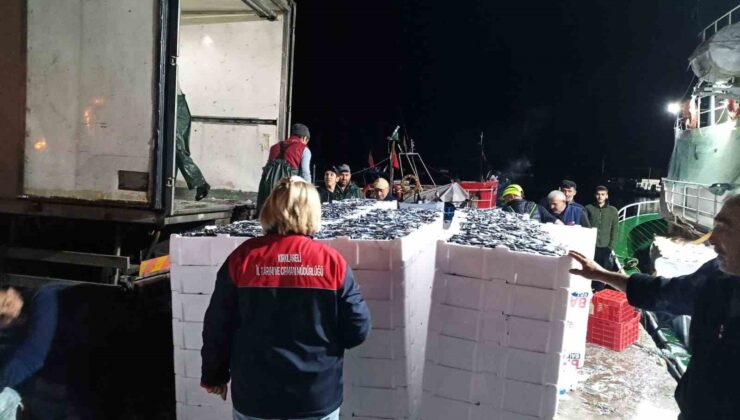 Demirköy’de hamsi denetimi