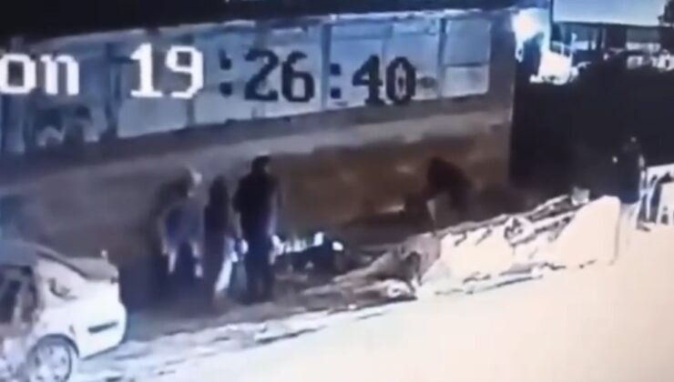 Demirtaş’ta başıboş köpek dehşetİ 3 kişi yaralandı