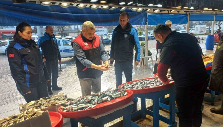 Denetim geldi, gerçek ortaya çıktı: Tezgahtaki balık “kolyoz” çıktı