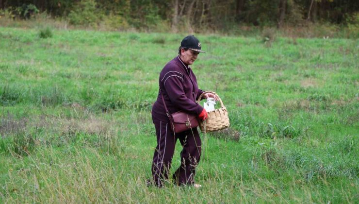 Doğaseverler Ormanya’nın zengin biyolojik çeşitliliğini keşfetti