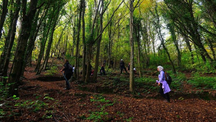 Doğaseverler Sakarya’nın eşsiz doğasını keşfetti