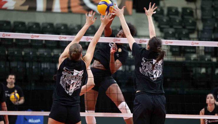 Eczacıbaşı Dynavit, Zeren Spor’u ağırlayacak