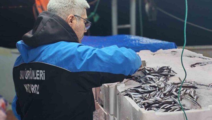 Gelibolu’da 45 kilo balığa el konuldu, 37 bin 770 lira para cezası kesildi