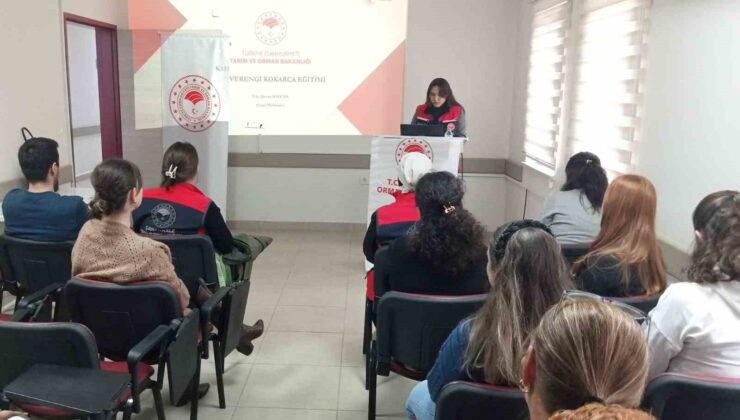 Gelibolu’da kahverengi kokarca ile mücadele eğitimleri devam ediyor