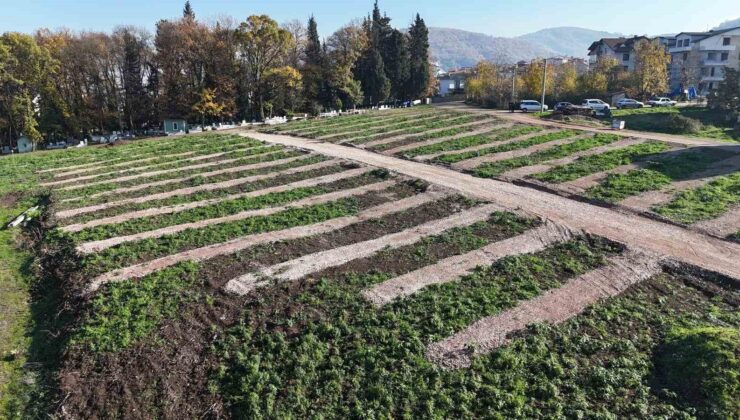 Gölcük’e yeni mezarlık alanları hazırlandı