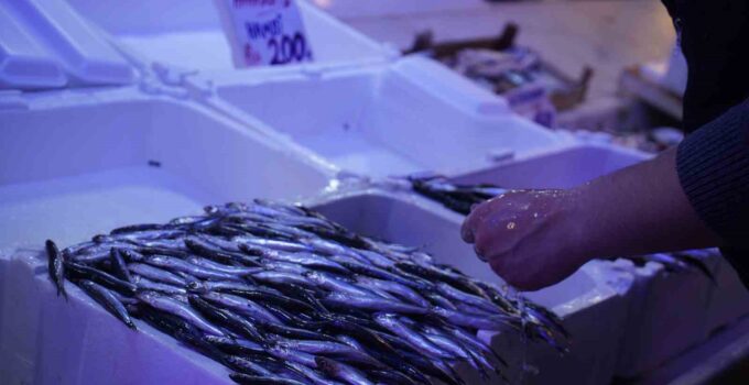 Hamsi zirvedeki yerini istavrite bıraktı