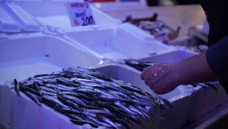 Hamsi zirvedeki yerini istavrite bıraktı