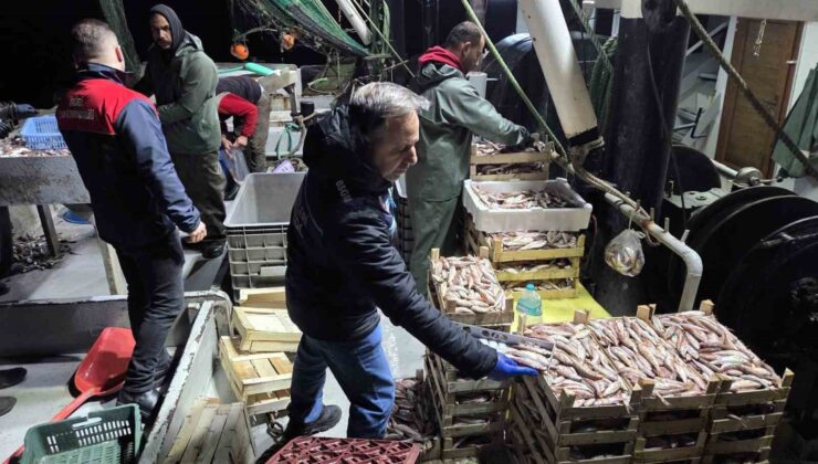 İğneada Balıkçı Barınağı’nda su ürünleri denetimi