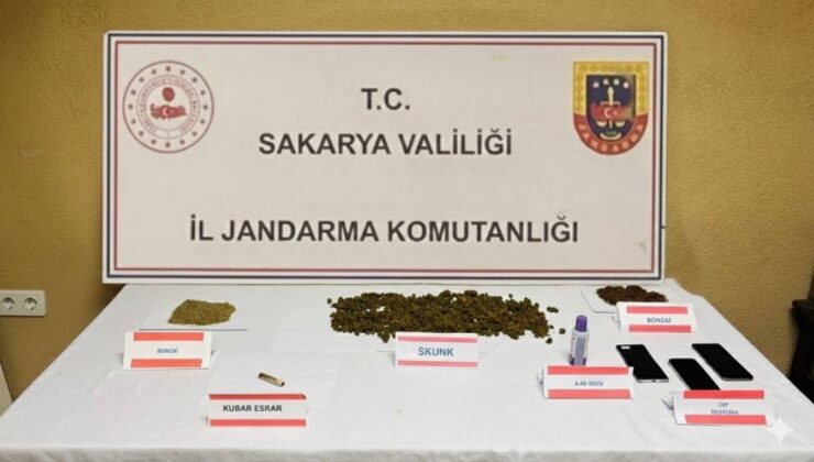 Jandarmadan uyuşturucu baskını: Ev sahibi tutuklandı