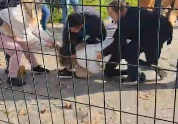 Kartal Anadolu Adliyesi önünde iki aile arasında yumruk yumruğa kavga çıktı