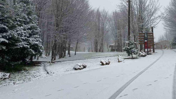 Kartepe’ye lapa lapa kar yağıyor