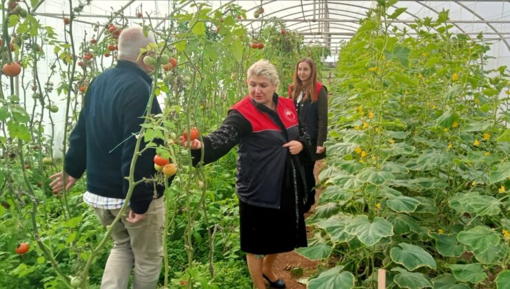 Kırklareli’nde sera kontrolleri