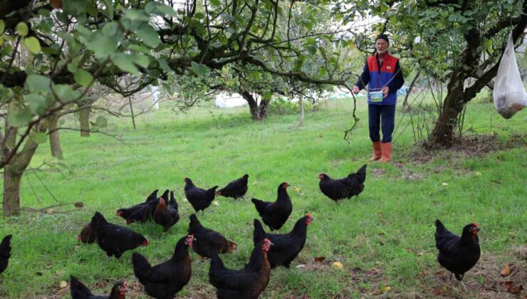 Kocaeli’de kırsal kalkınmaya “kanatlı” destek