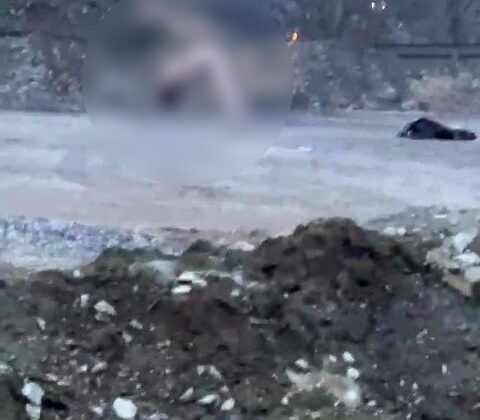 Köprü altında akıllara durgunluk veren görüntüler