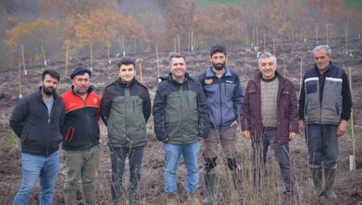 Manyas’ta orman köylüsüne gelir getirici ağaçlandırma