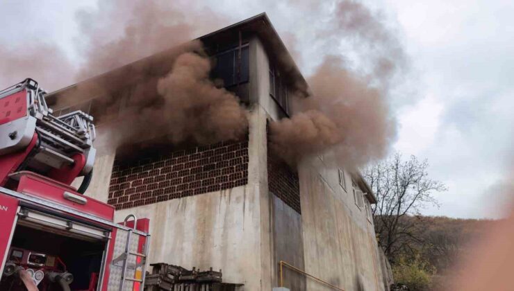 Meyve kasalarının bulunduğu depo küle döndü