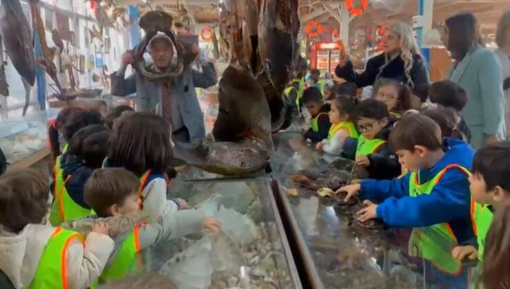 Minikler mumya balıkları büyük bir ilgiyle inceledi