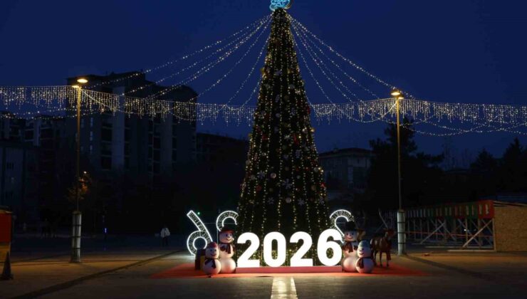 Nilüfer yeni yıla hazır