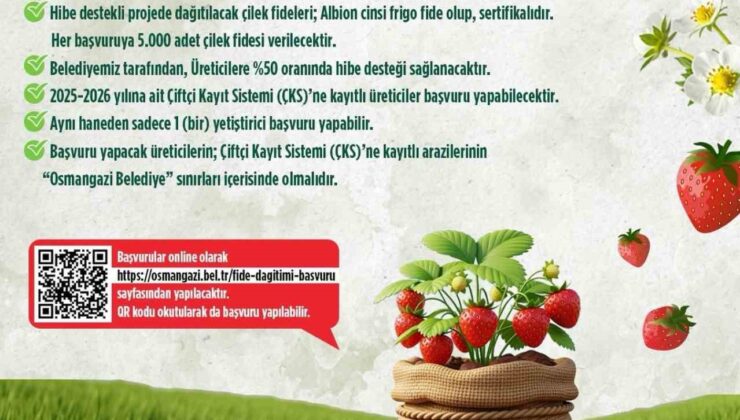Osmangazi Belediyesi yüzde 50 hibeli çilek fidesi dağıtacak